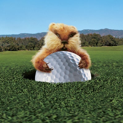 More Info for Caddyshack