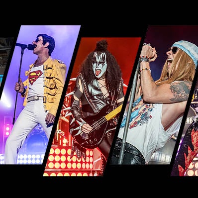 More Info for Hairball