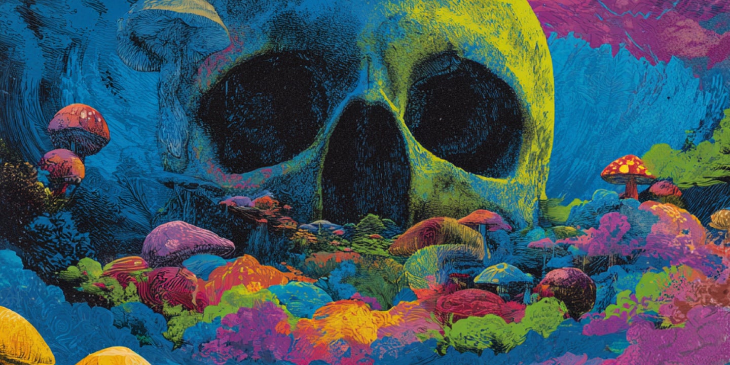 More Info for Live Dead & Brothers