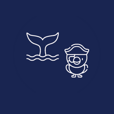 More Info for Summer Camp: Mermaids & Pirates