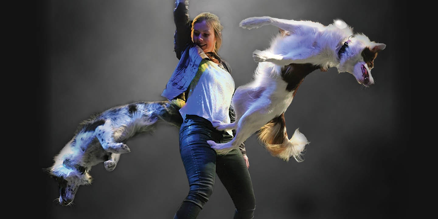 Mutts Gone Nuts!