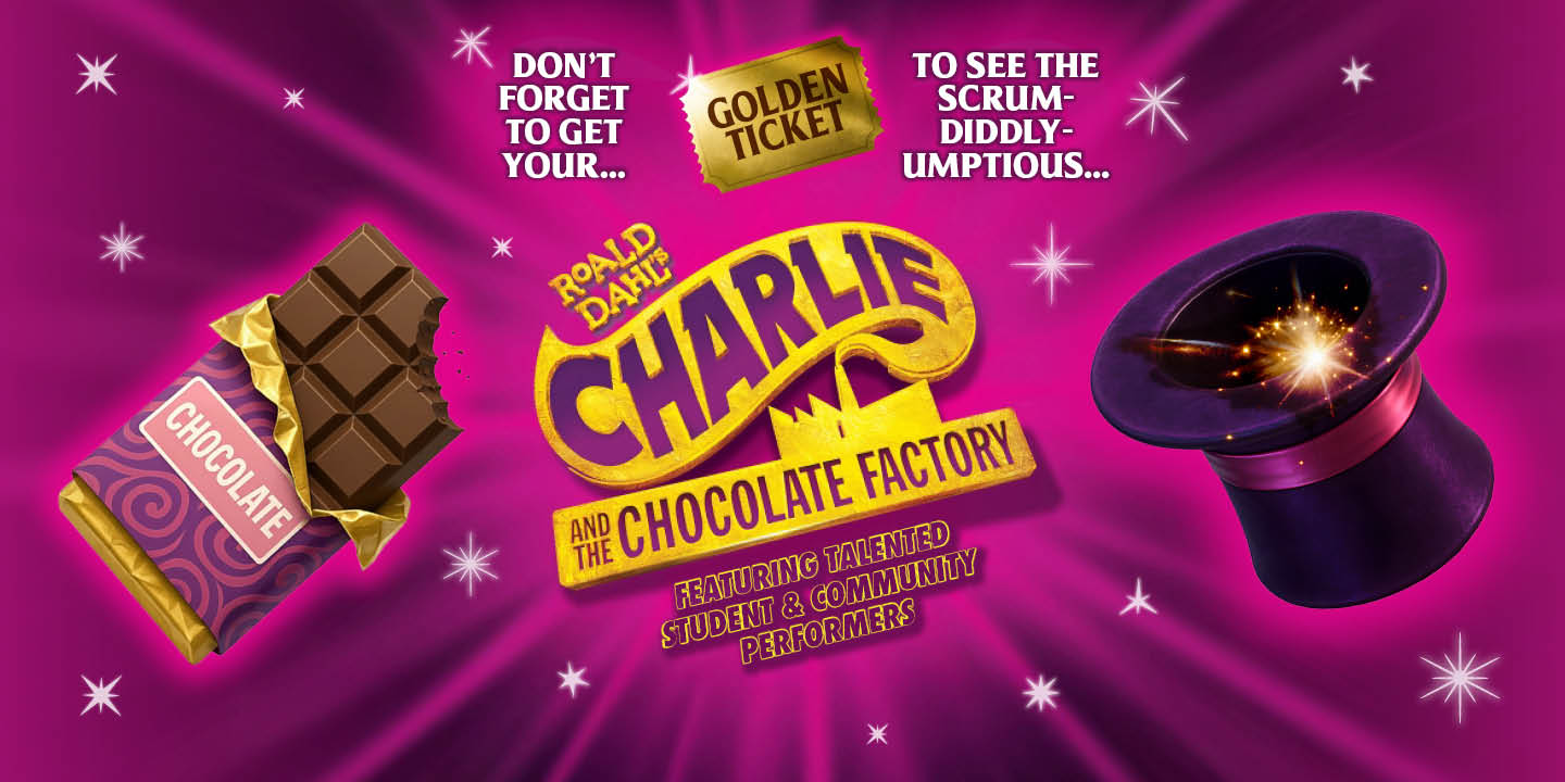 Roald Dahl's Charlie and The Chocolate Factory