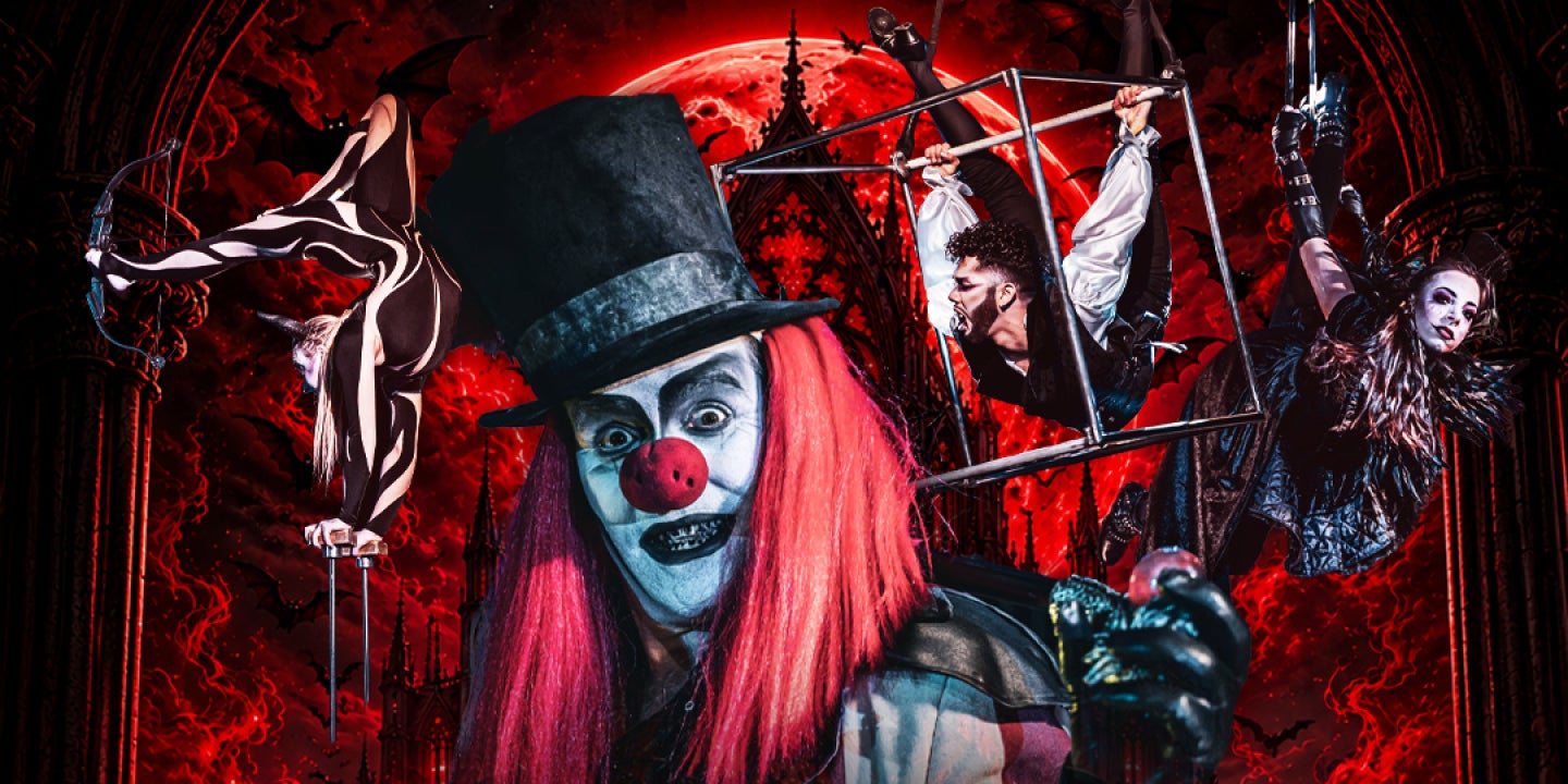 More Info for The Vampire Circus