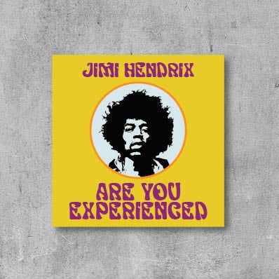 More Info for Jimi Hendrix: Are You Experienced
